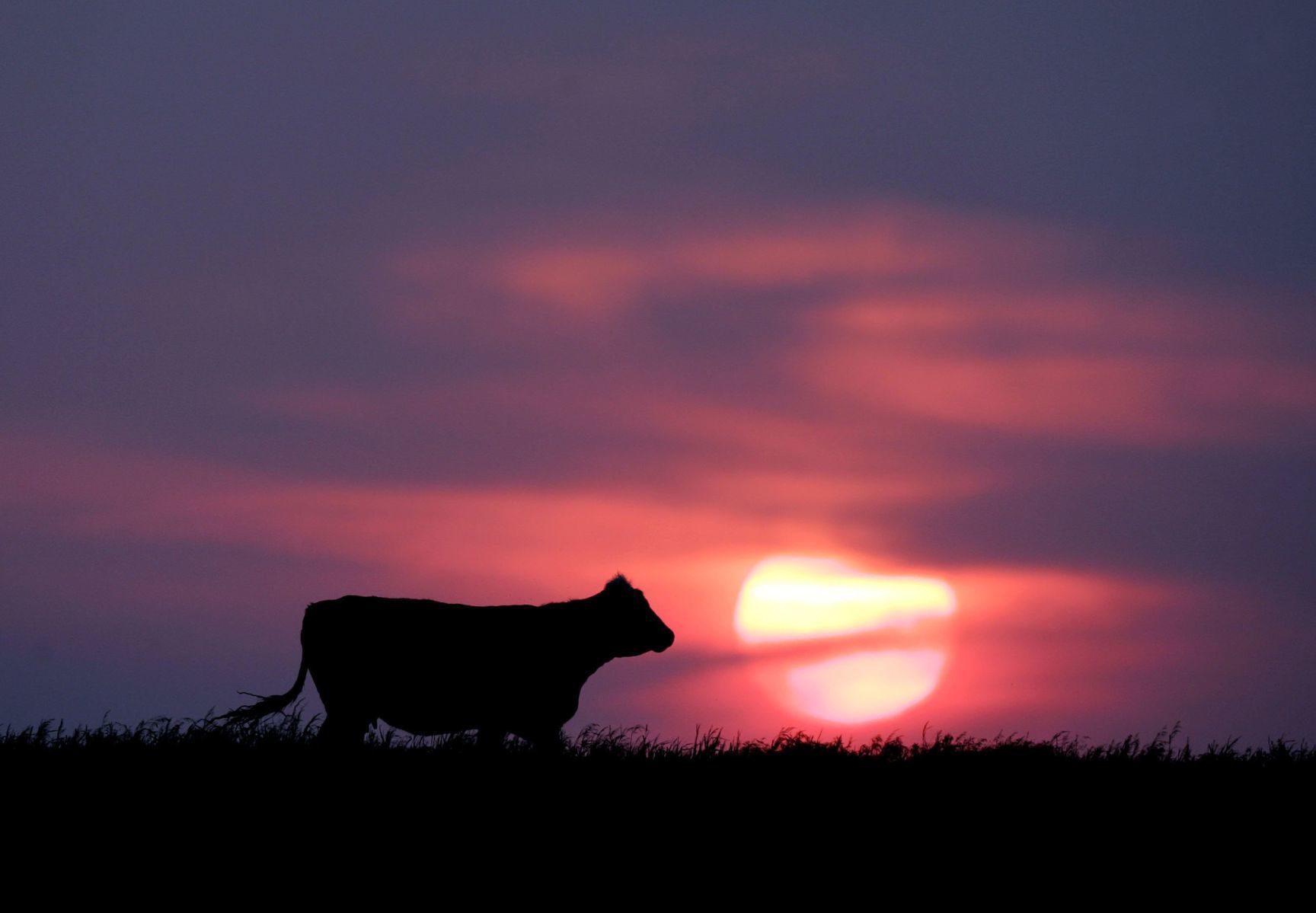 Best of Nebraska